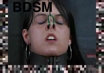 bdsm, スレーブ, フェティッシュ, 怪奇な