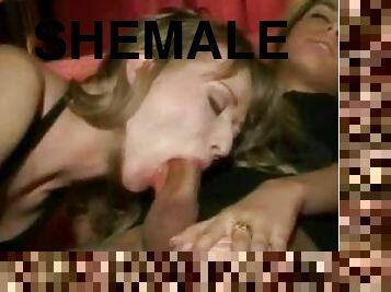 Sexy Shemale Gets a Blowjob From a Girl While Getting Fucked By a Guy