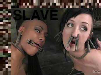 Meet BDSM enthusiasts Cadence Cross and Nikki Darling