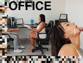 cuatro-patas, oficina, secretaria, latino, facial, corrida, jefe, morena