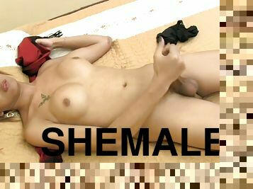 Shemale with a hairy cock wants us to take a look at her erection
