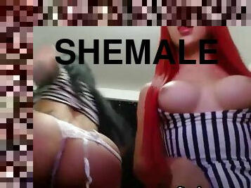 Intriguing shemale and her lover hooker