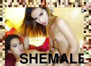 Sexy Shemales Anal Fuck Each Other Wildly