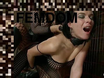 Two chicks in fishnet bodysuits get ass fucked