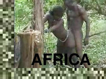 Real african amateur fuck on the tree part 2