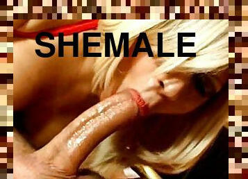 Blonde shemale Romina blows and enjoys it deep doggy style