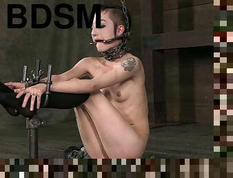 bdsm, fetysz