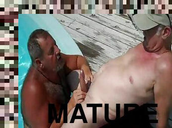 Pool suck mature bear