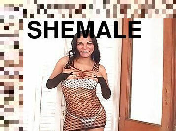 Sexy shemale in fishnet Angy C is getting balled