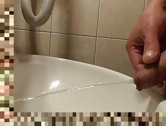 Weekend trip train+hotel part11 (hotel toilet masturbation)