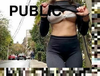 Public Tits flashing ended with Passionate sex