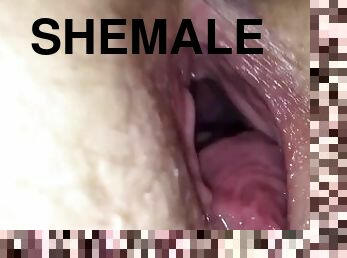 Hot Shemale Bareback My Wife Filling Her Full Of Cum Getting Her Pregnant