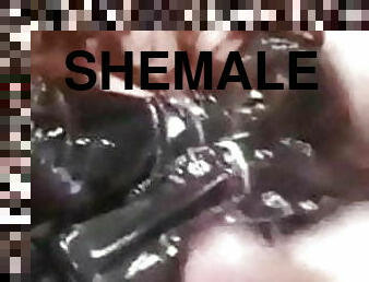 Shemale Amateur fuck