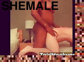 Shemale Amateur xxx