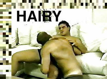 Two Sexy Hairy Men Fucking and Sucking on Couch