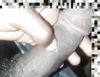 African black dick erected