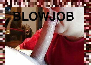 She gives the best blowjob. Why? She loves to suck every day.