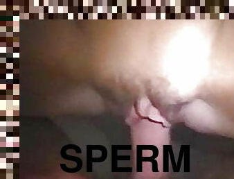 döl, döl-sperm