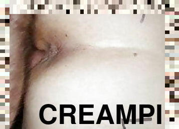 hundestilling, creampie, knepning-fucking