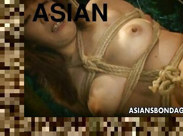 Hanging from a tree Asian babe gets vibed