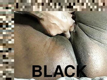 Black BBW Pussy 