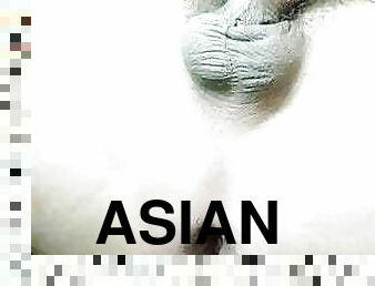азиатки, анално , хомосексуалисти, тайландки