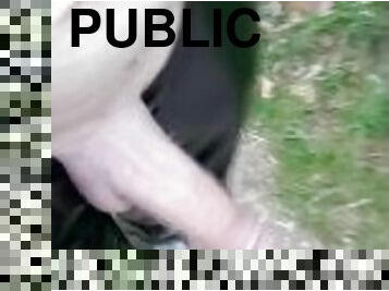 masturbation, en-plein-air, public, cam, voyeur, exhibitionniste, bite, clignotant