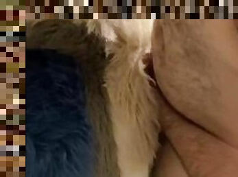 Uncut Pup Breeds Chub Murrsuiter