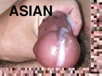 Asian Masturbation is Life