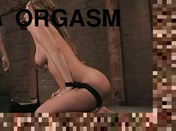 orgazm, anal, maszyny, solo