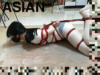 Asian Hogtie