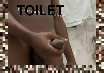 Brickmanhammer got comfortable in the toilet, masturbates till he nuts