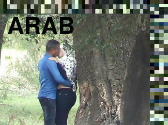 en-plein-air, public, arabe, cam, couple, voyeur, parc, caché