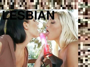 sex aroused lesbians make love