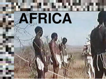Real African safari
