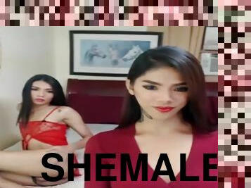 Super Hot and sexy shemale couple make love live on cam