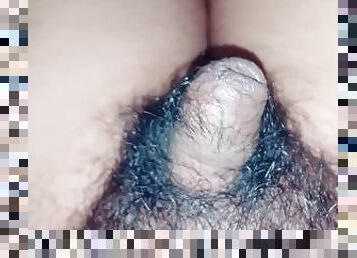 amatir, sperma, penis