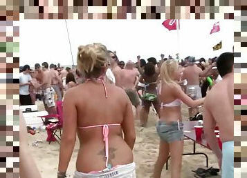 Giddy pornstars in bikinis flaunt their sexy figures in a juicy bikini party