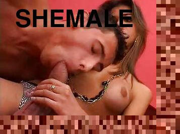Shemale with big cock gets a blowjob