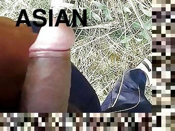 asiatisk, feit, anal, leke, homofil, massasje, compilation, gangbang, bbw, ung-18