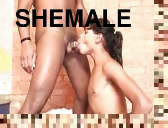 Amazing shemale deepthroats big black cock