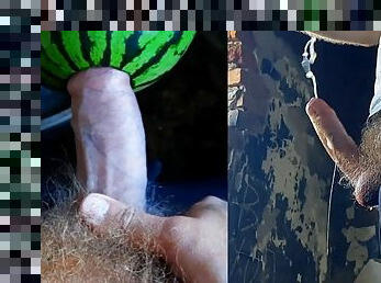 Arrogant male TimonRDD hard fucks a watermelon with a big hairy dick