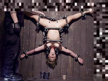 Clamped Blonde In Upside Down Position