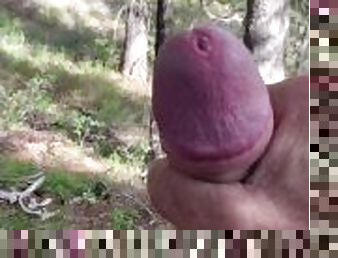 Masturbating in the woods