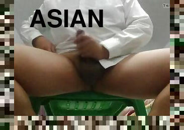 Asian bear cumming after work